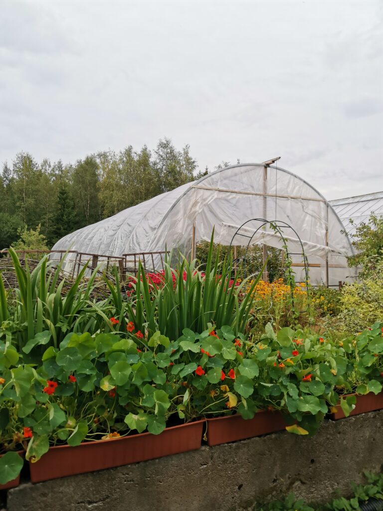 Kasvihuone